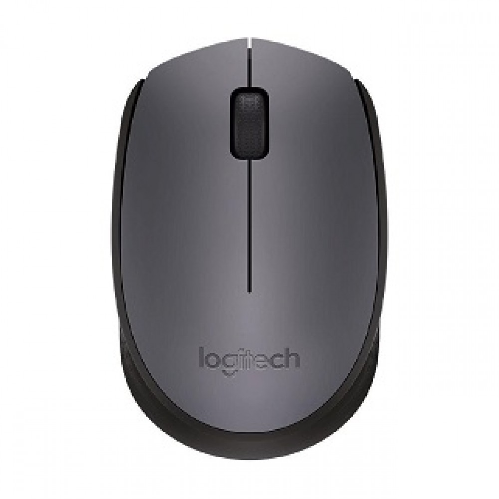 Logitech m171