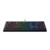 Razer Cynosa V2-2