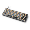Glorious Panda Mechanical Switches-3