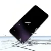 eezepc (4) (1)