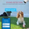 Yi Outdoor Camera-2
