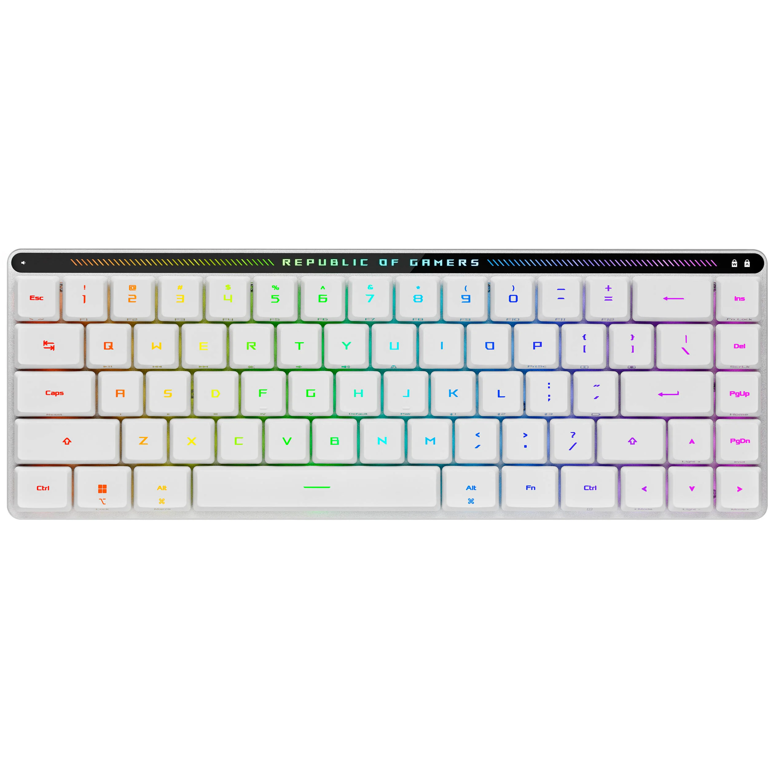 M603 FALCHION RX LP
