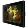 Huion Kamvas Pro 13-1