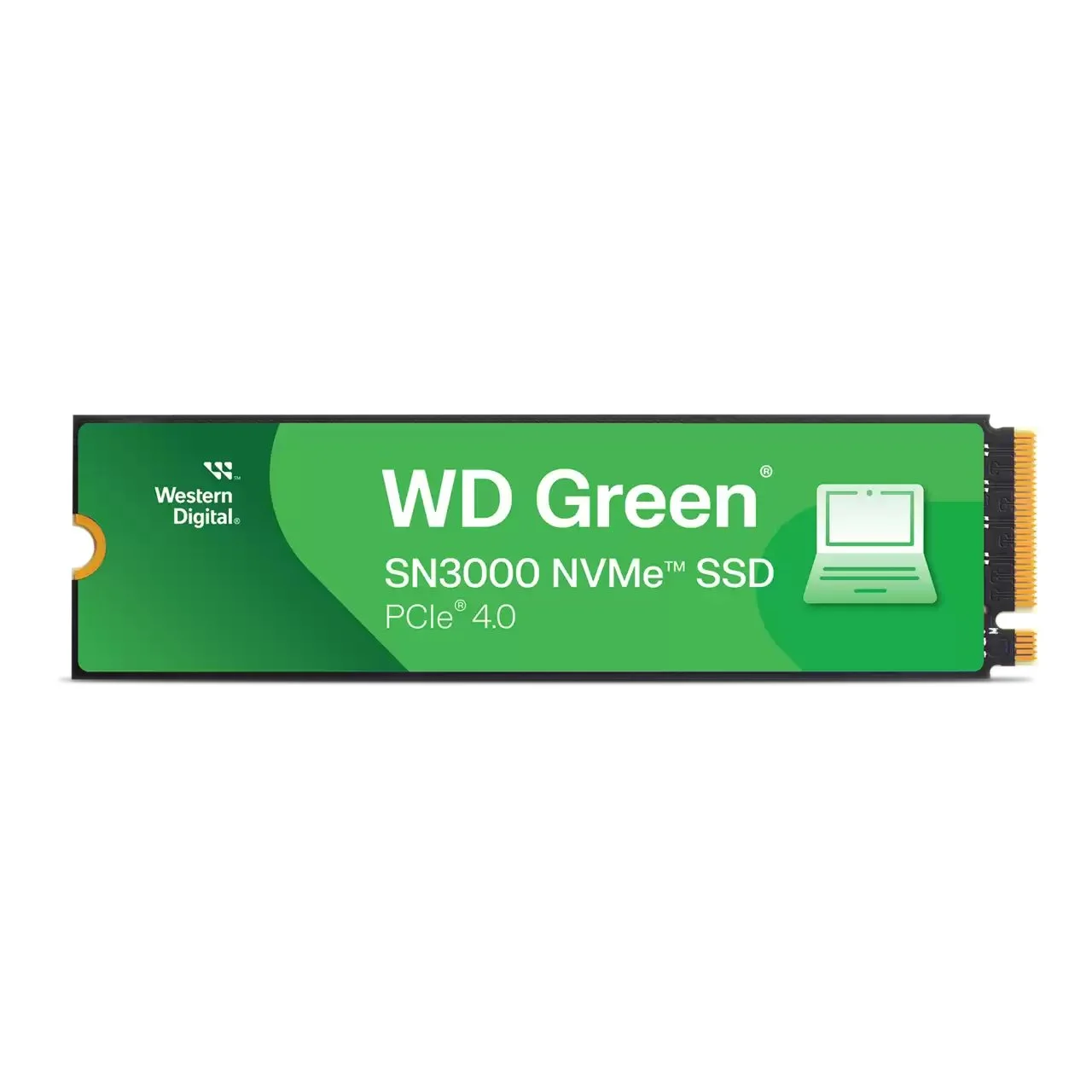 Wd 2