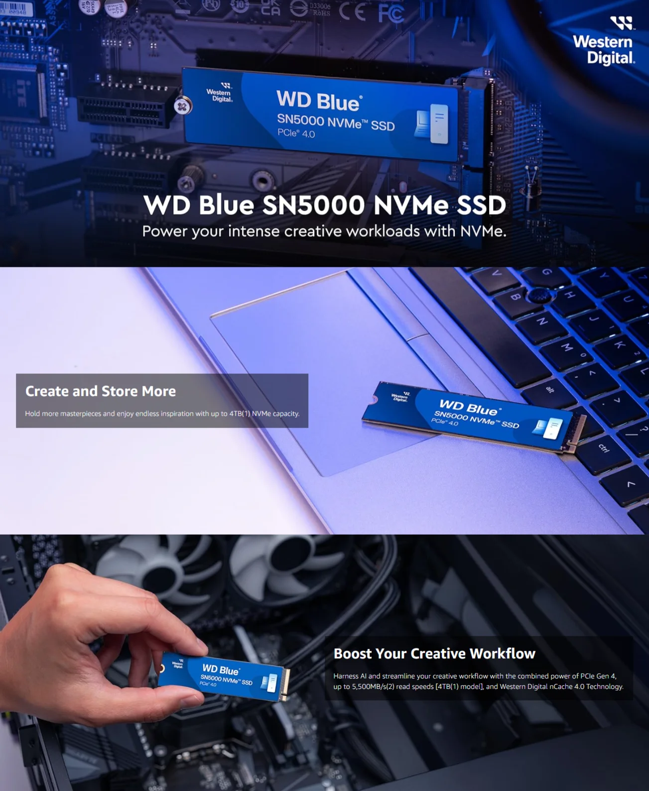 Wd