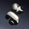 Bose2