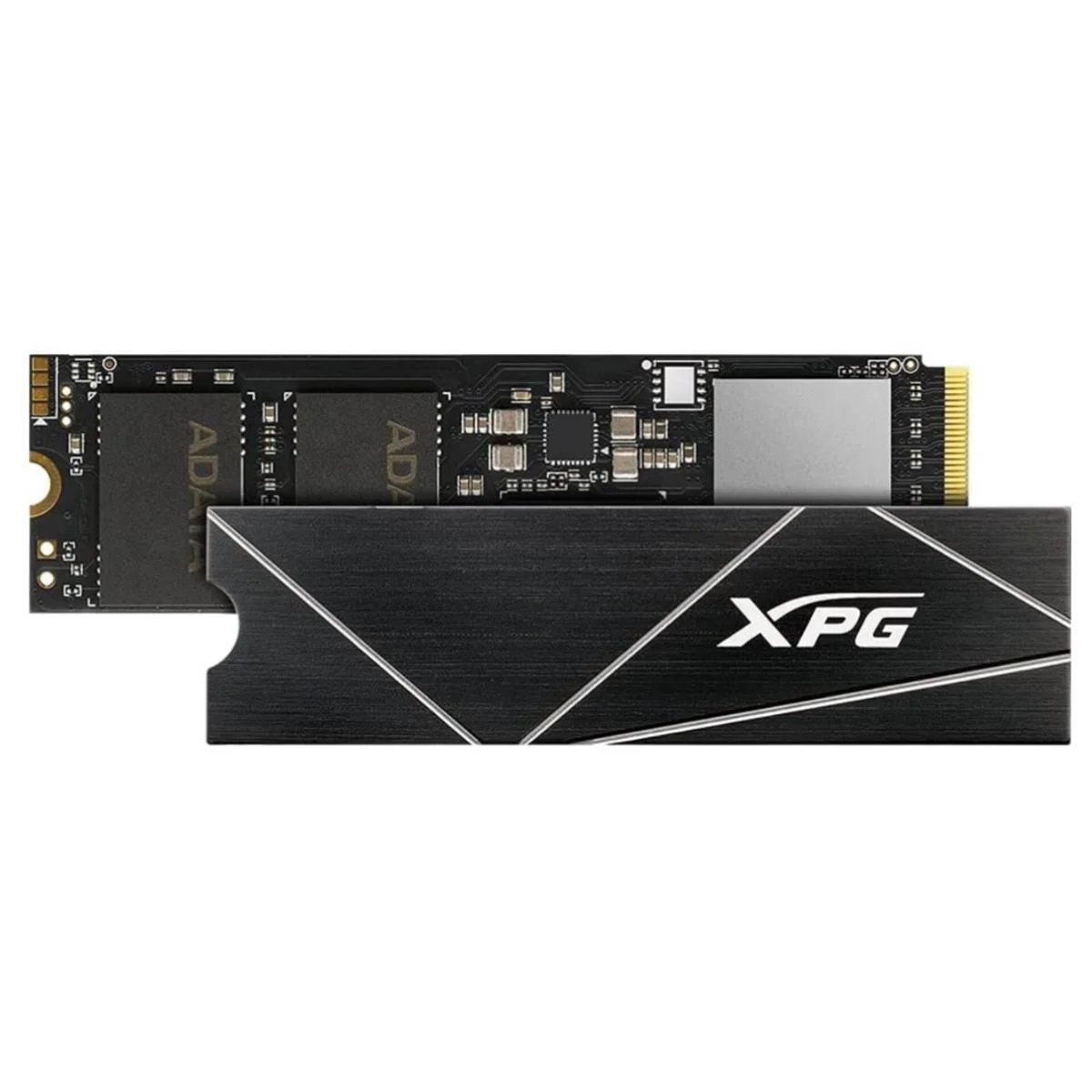 Xpg 1