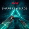 Xpg 2