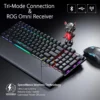 Asus 2