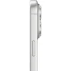 apple3