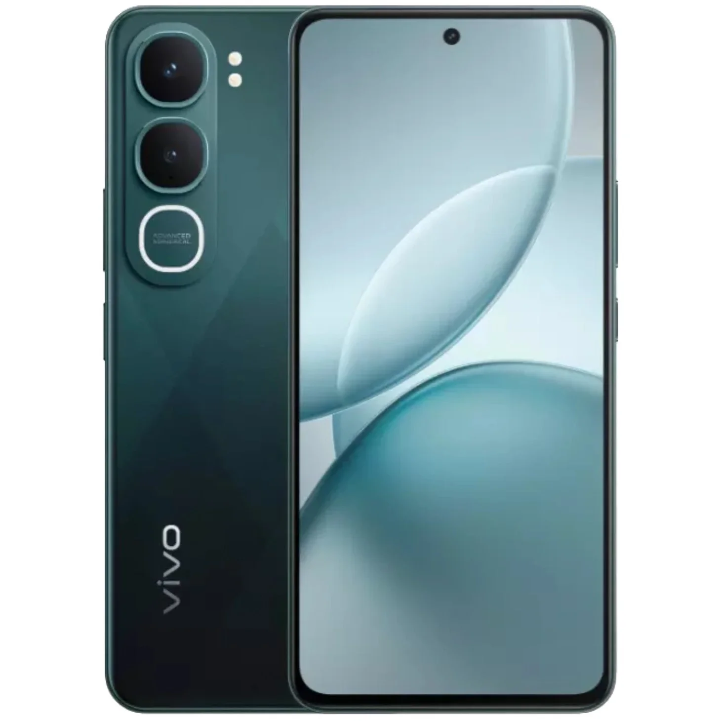 vivo2